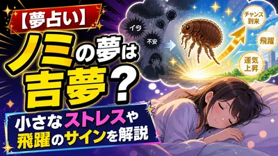 【夢占い】ノミの夢は吉夢？小さなストレスや飛躍のサインを解説