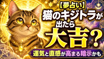 【夢占い】猫のキジトラが出たら大吉？運気と直感が高まる暗示かも