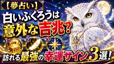 【夢占い】白いふくろうは意外な吉兆？訪れる最強の幸運サイン3選！