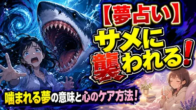 【夢占い】サメに襲われる！噛まれる夢の意味と心のケア方法！