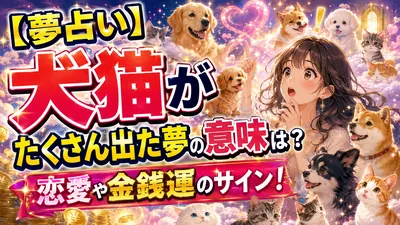 【夢占い】犬猫がたくさん出た夢の意味は？恋愛や金銭運のサイン！