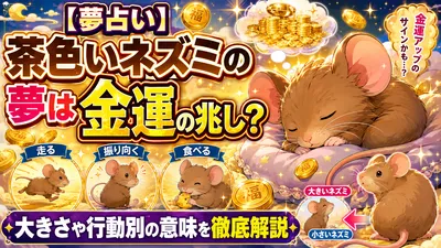 【夢占い】茶色いネズミの夢は金運の兆し？大きさや行動別の意味を徹底解説